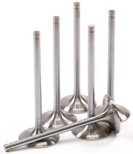 Load image into Gallery viewer, GSC P-D Can-Am Maverick Turbo 29mm Head STD 84.3mm Long Intake Valve - Set of 6