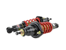 Load image into Gallery viewer, Skunk2 01-05 Honda Civic / 01-05 Acura Integra Pro-ST Coilovers (Front 10 kg/mm - Rear 10 kg/mm)