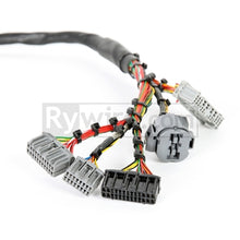 Load image into Gallery viewer, Rywire Honda B-Series Mil-Spec Eng Harness w/OBD2 Dist/Inj/Alt &amp; OBD1 92-95 ECU Plugs (Adapter Req)